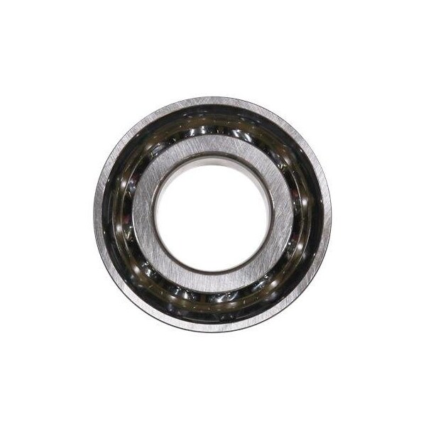 Pump Repair Parts- Angular Contact Bearing 7317BE/SPARE.